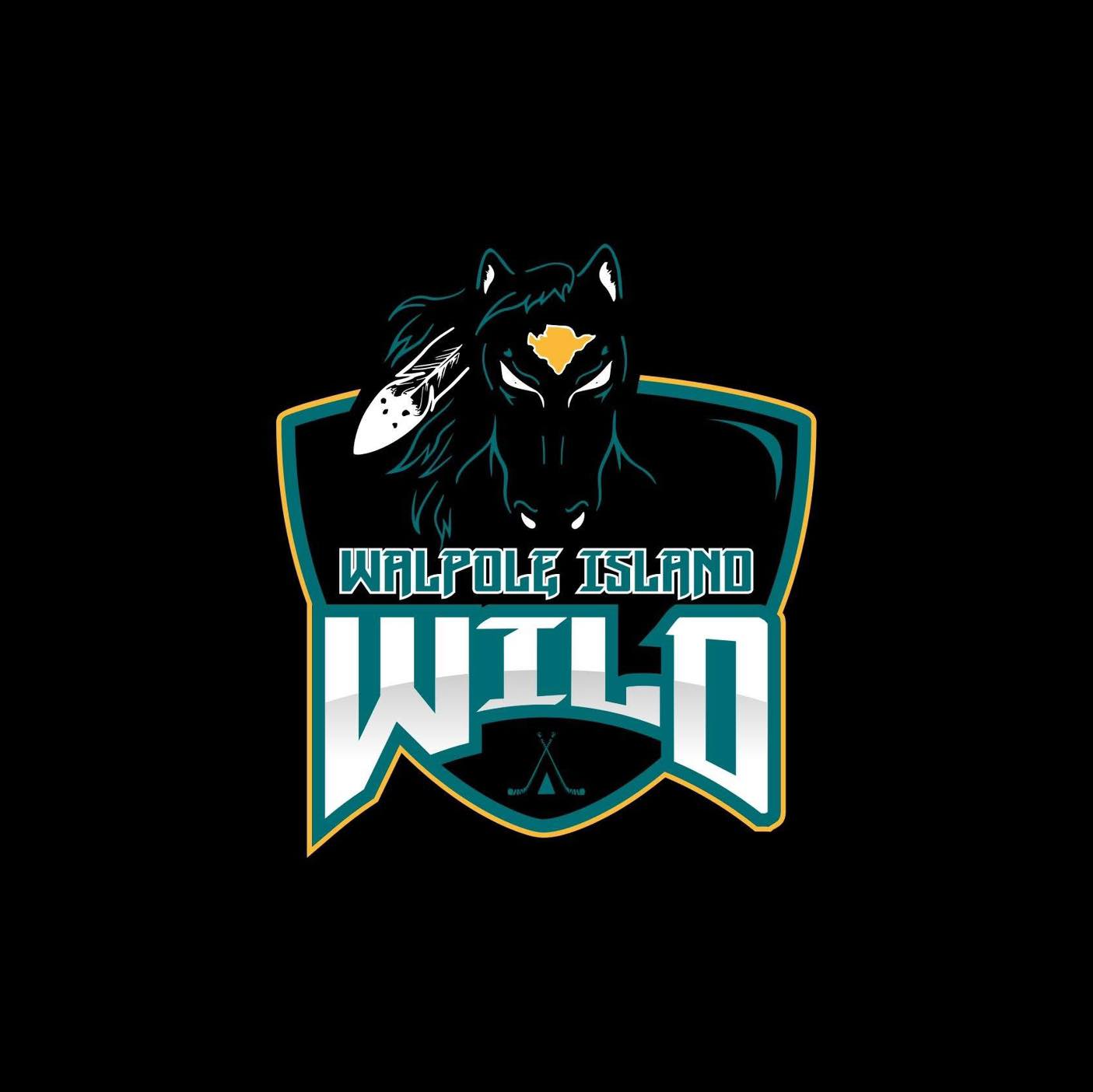 The Walpole Island Wild Jr. C Hockey Club is looking for billet families for the upcoming season!

If you have a spare room and would like to provide a home away from home for one of our players, we’d love to hear from you. 

Interested? Please email us at walpoleislandwild@gmail.com