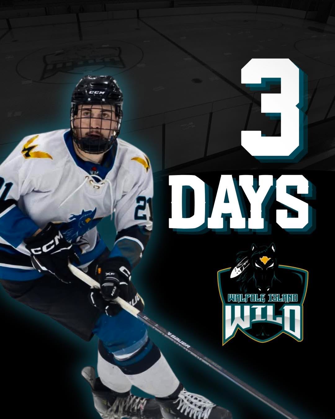 🚨3 DAYS!🚨

3 Days until our Home Opener!📢

🗓️ Thursday, September 17th 
🕑7:30PM 
🆚Essex 73’s
📍Walpole Island Sports Complex 

#letsgowild#walpoleislandwild#pjhl#walpoleisland