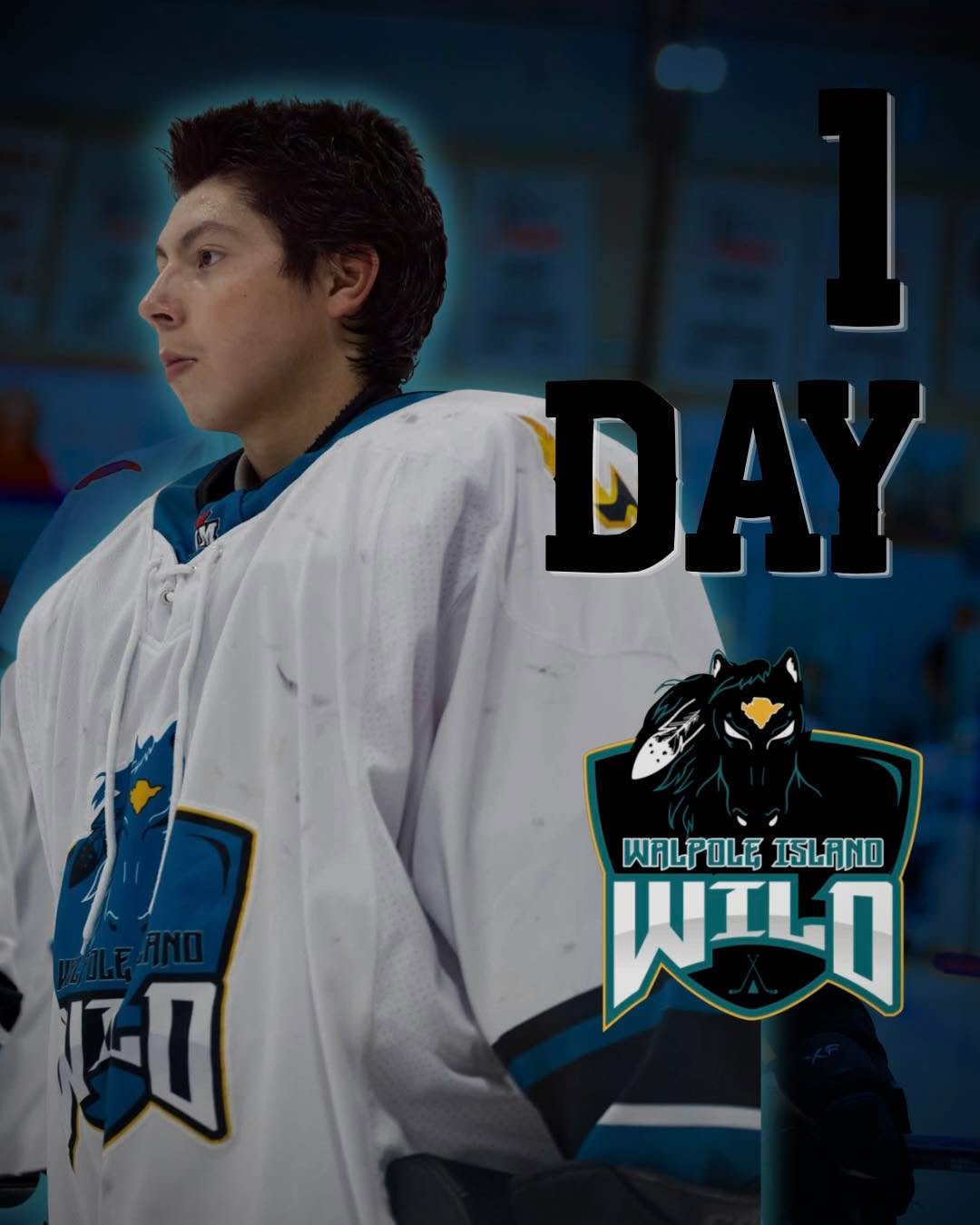 🚨1 DAY🚨

1 Day until our Home Opener!📢

🗓️ Thursday, September 17th 
🕑7:30PM 
🆚Essex 73’s
📍Walpole Island Sports Complex 

#letsgowild#walpoleislandwild#pjhl#walpoleisland